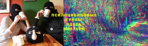 mdpv Приозерск