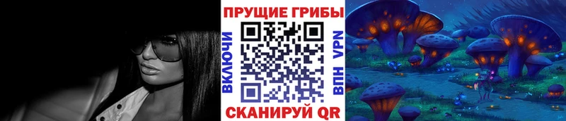 Галлюциногенные грибы Psilocybine cubensis  Покров 